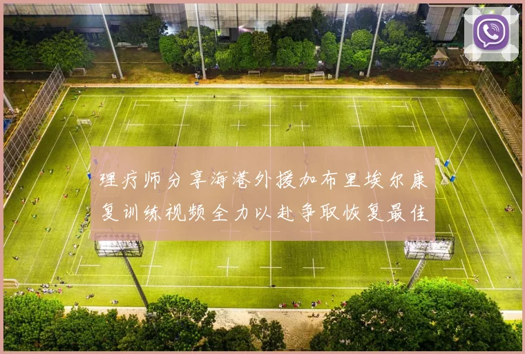 理疗师分享海港外援加布里埃尔康复训练视频全力以赴争取恢复最佳状态