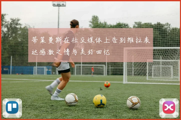 蒂莱曼斯在社交媒体上告别维拉表达感激之情与美好回忆